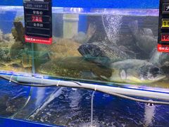 水产区-船梆煮•蒸汽海鲜·炉火烤肉(五四广场店)