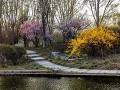 -石家庄市植物园