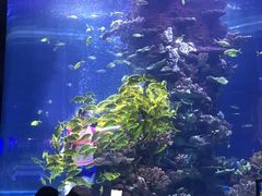 -东湖欢乐水世界