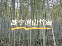 -潜山国家森林公园