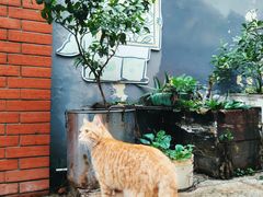 -懒鱼时光馆(沙坪坝店)