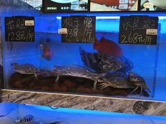 -章吴记喜瑞餐厅(东东城店)