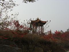 -浮来山风景区