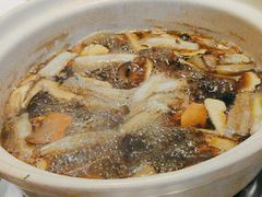 蘑菇宴-天宜隆蘑菇宴火锅(石景山旗舰店)