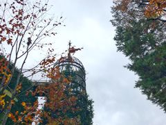 -三鹰之森吉卜力美术馆