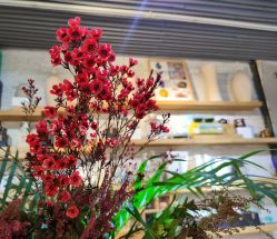 -今日陶艺(富力广场店)