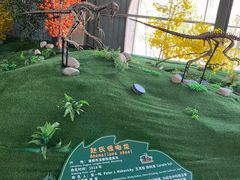 -诸城市恐龙博物馆