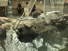 -南昌动物园