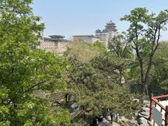 -莲花池公园