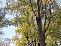 -西贝(枫蓝国际购物中心店)