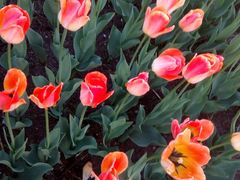 -长春公园(普阳街道)