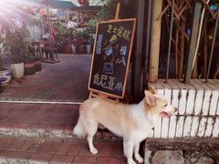 -豆舞咖啡(民乐路店)