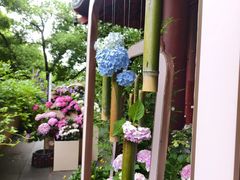 -吴山景区