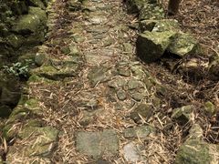 -雁荡山雁湖景区