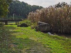 -美兰湖景区