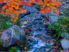 -九如山休闲旅游度假区