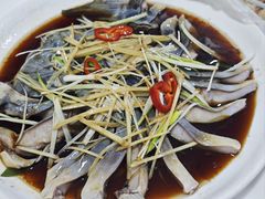 -煲来饱去冷水鱼