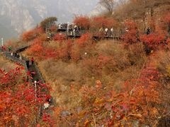 -狼牙山风景区