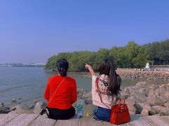 -宝安西湾红树林湿地公园