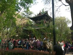 -迎泽公园