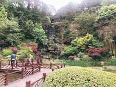 -铁山坪森林公园