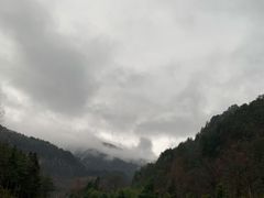 -黎坪国家森林公园