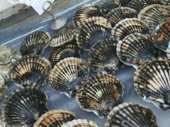 -渔民船说·北塘海鲜·天津菜·海肠捞饭(北塘古镇店)
