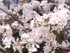 -南浦大桥长途旅游客运站