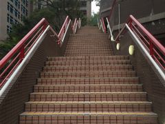 -香港大学