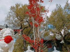 -哈尔滨极乐寺