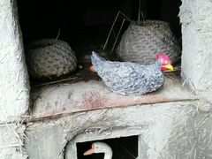 -北纬44度·金珠花海休闲农业旅游景区