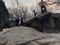 -灵岩山风景区