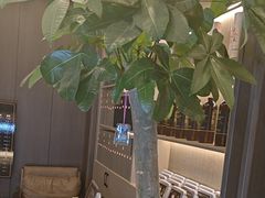 -鹿栖.精油SPA(金山世纪城店)