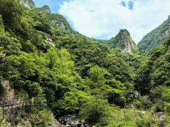 -龙湾潭国家森林公园
