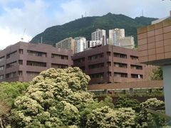 -香港大学