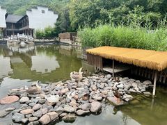-荷塘味道(水长城店)