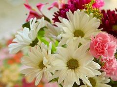 -川竹火锅(龙凤店)