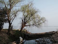 -莲花岛景区