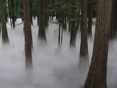 -东湖落雁景区