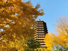 -玲珑塔公园
