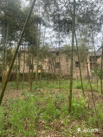 #天天领红包#散步在有春天的街道 #外婆喊你踏春吃饭