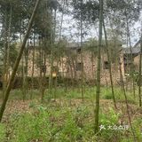 街头漫步｜雨后的竹园[调皮]