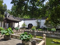 -上海醉白池公园
