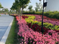 -春花秋色城市公园