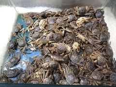 -悦橙烤肉海鲜自助(中央大街店)