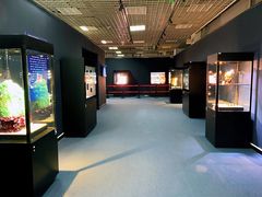 -国家自然博物馆