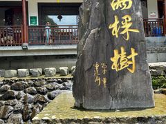 -鹿亭中村