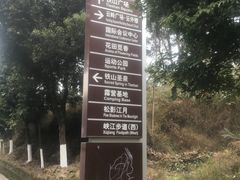 -铁山坪森林公园