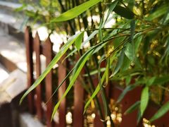 -玉泉观