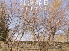 -三里河公园